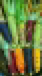 Sweet Corn Mix